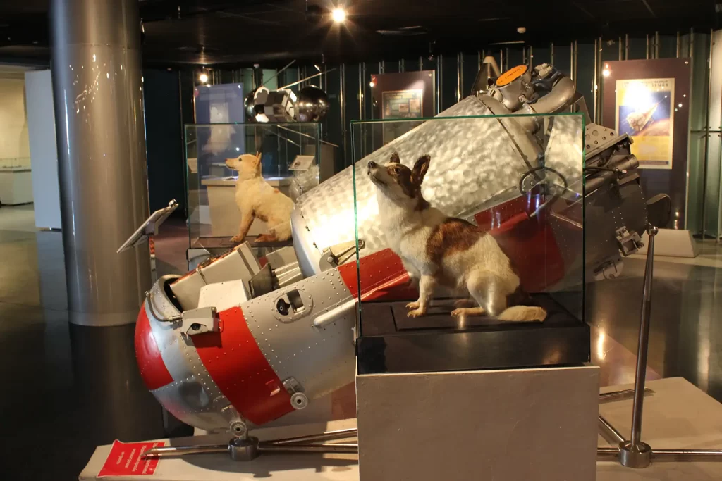 First animals in Space - Laika ac Strelka 