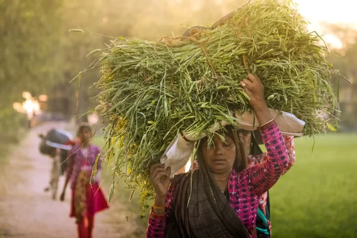 The Feminine color overlapping the traditionally male-dominated fields.